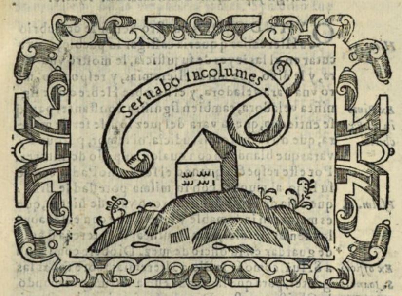 Servabo incolumes (Empresa 21, Libro I)