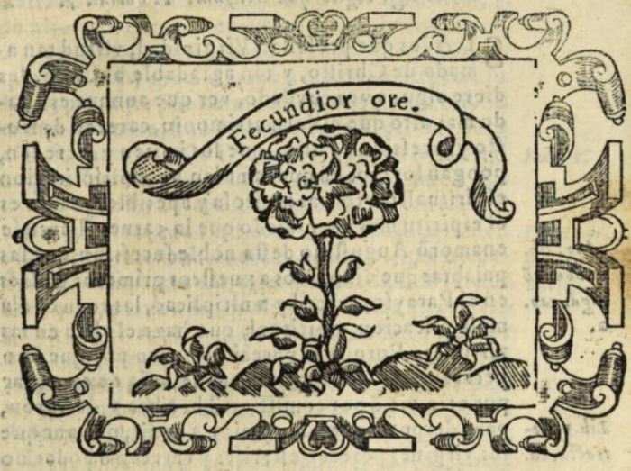 Fecundior ore (Empresa 23, Libro I).