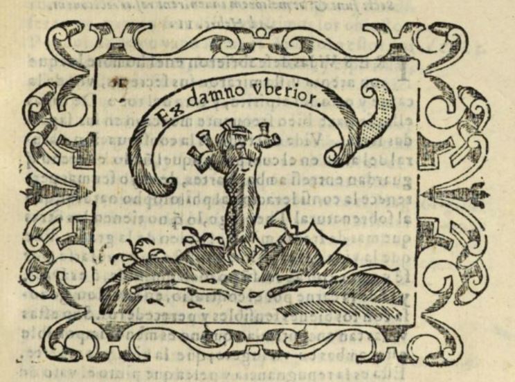 Ex damno uberior (Empresa 24, Libro I)