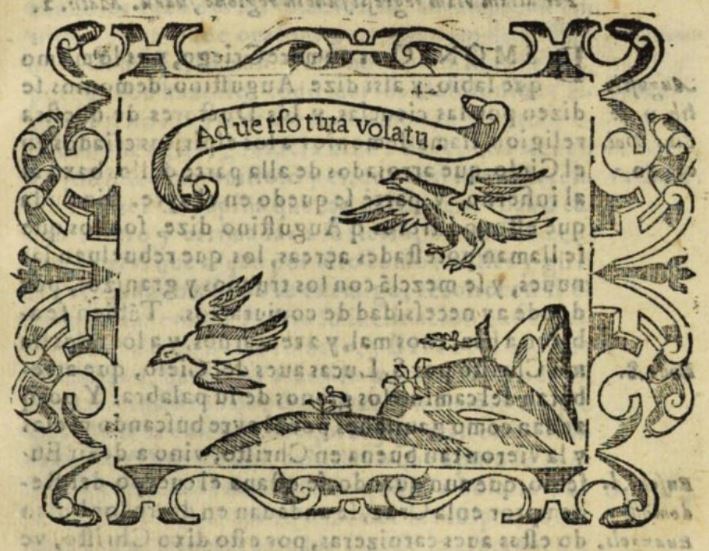 Adverso tuta volatu (Empresa 33, Libro I).