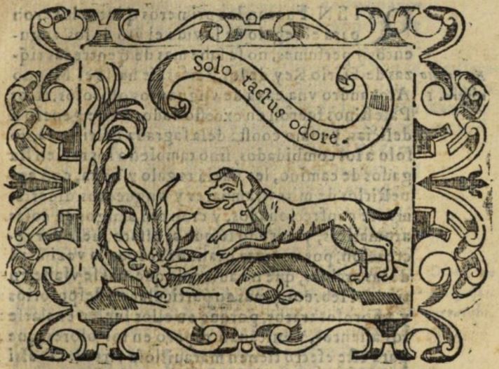 Solo tactus odore (Empresa 37, Libro I).
