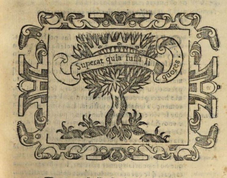 Superat quia fussa liquores (Empresa 6, Libro I).