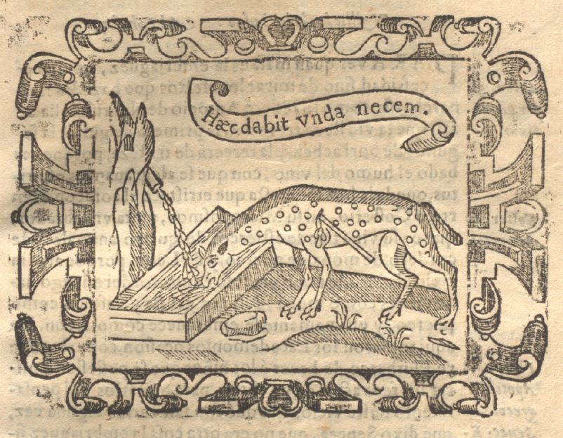 Haec dabit unda necem (Empresa 39, Libro II)