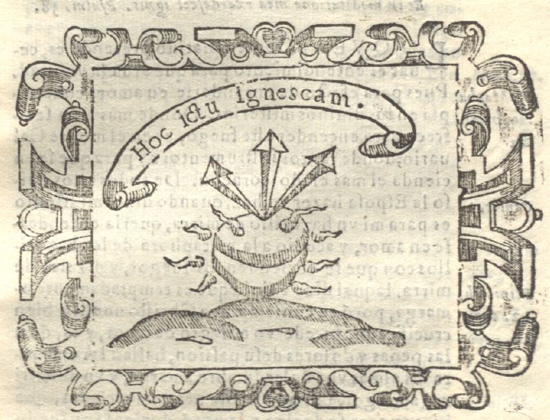 Hoc ictu ignescam (Empresa 48, Libro I)