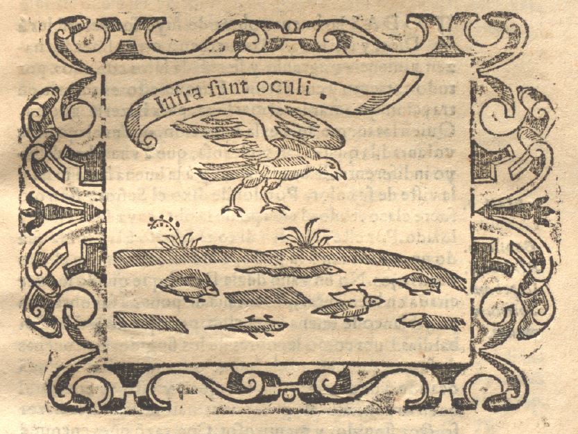 Infra sunt oculi (Empresa 38, Libro II)