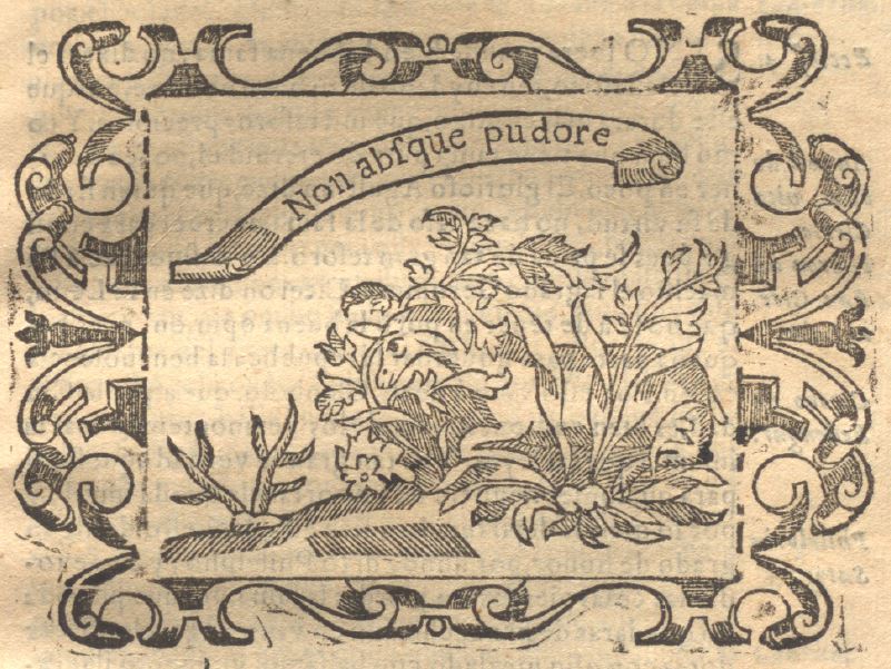 Non absque pudore (Empresa 30, Libro II)