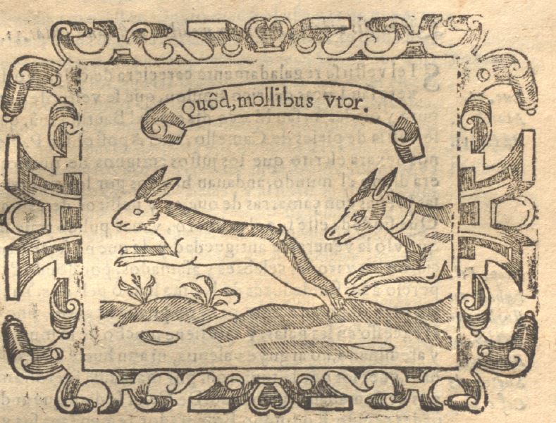 Quo(a)d, mollibus utor (Empresa 31, Libro II)