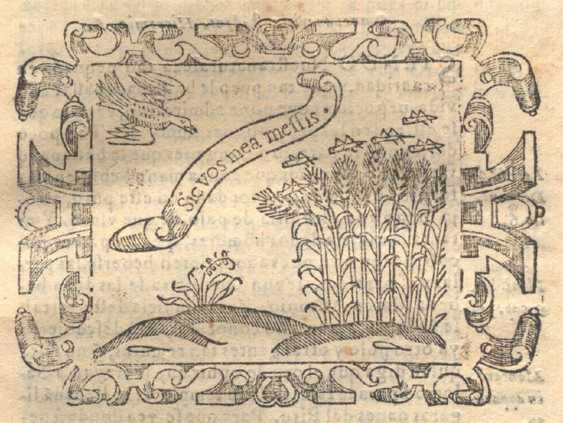 Sic vos mea messis (Empresa 6, Libro II)