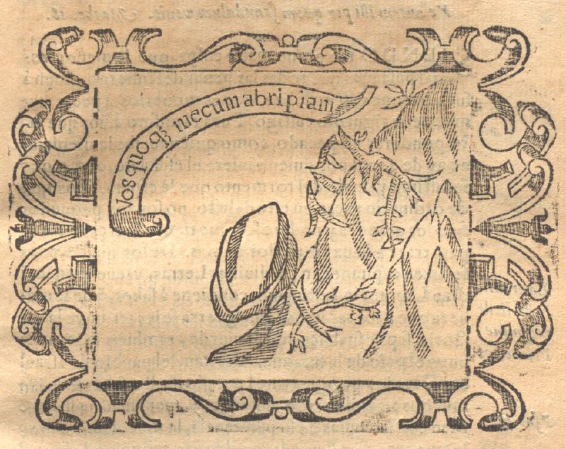 Vos quoque mecum abripiam (Empresa 35, Libro II)