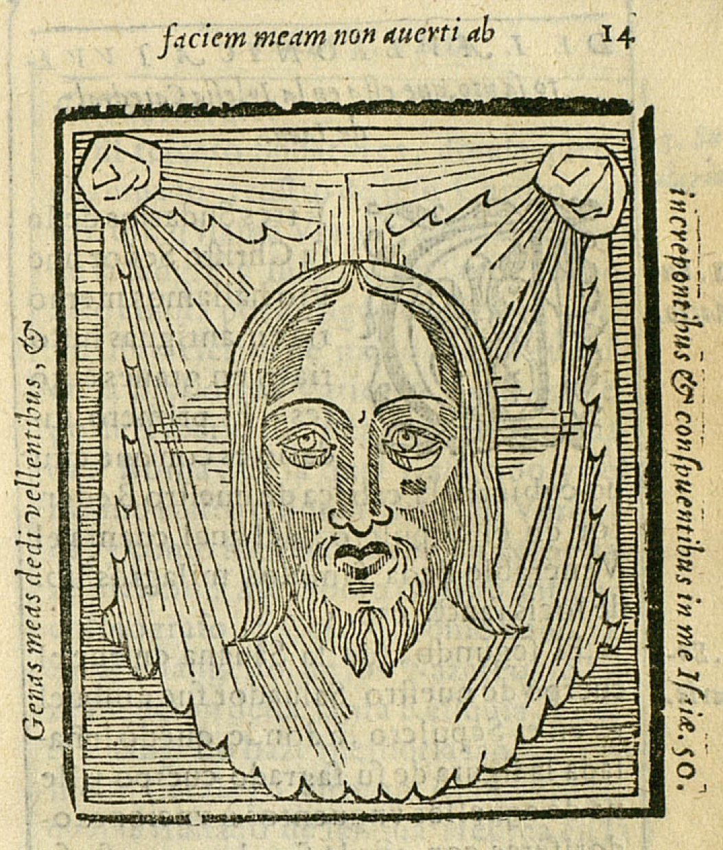 Santo Rostro