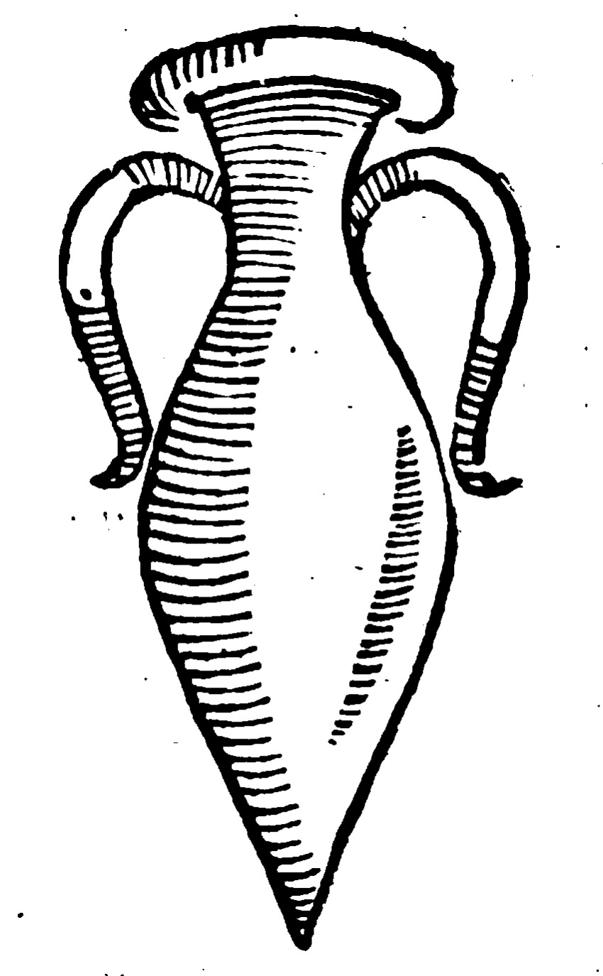 Vasa futilia