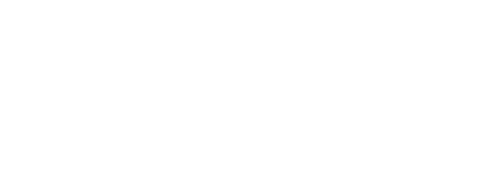 Visit X Inception CNN